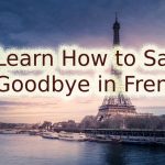 Goodbye in French