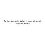 Tanjiro Kamado: What is special about Tanjiro Kamado