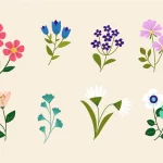 Small Flowers