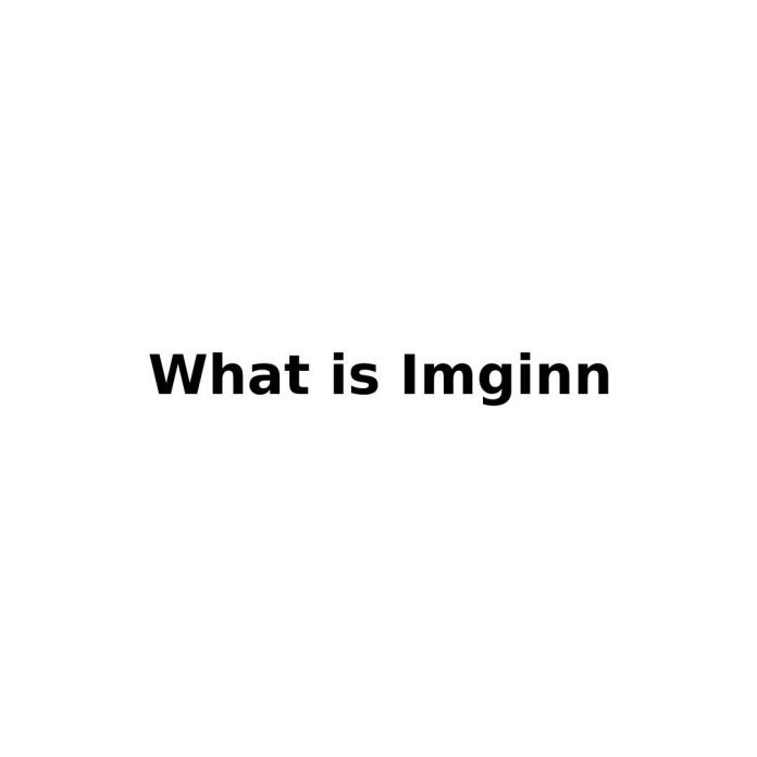 What is Imginn