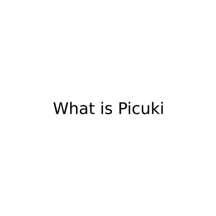 What is Picuki