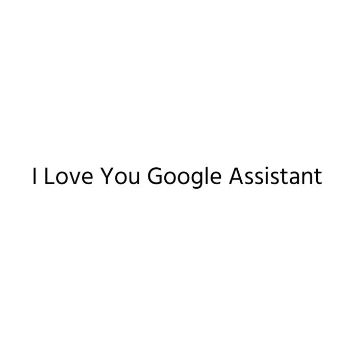 I Love You Google Assistant