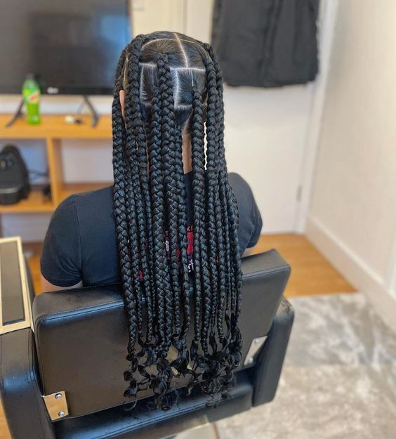 Box Coi Leray Braided Hairstyle For Long Locks