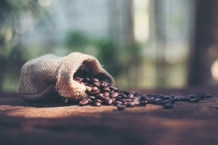 Fresh Roasted Coffee Beans