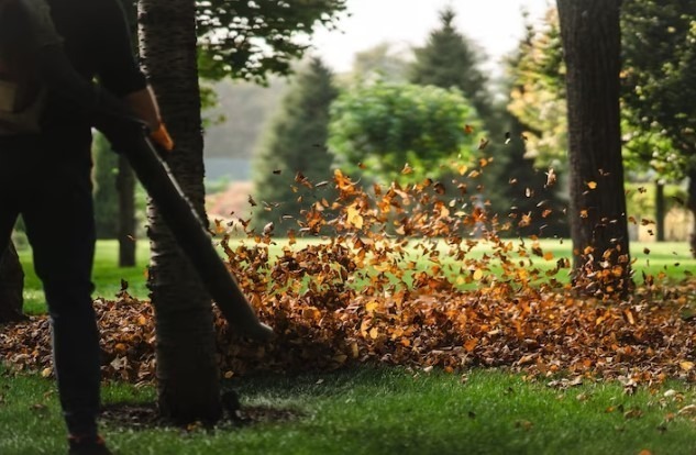 Leaf Blowers In The UK