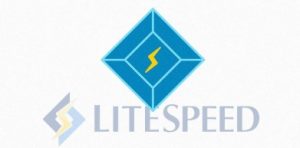 LiteSpeed Cache