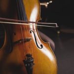 Violin
