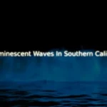 Where I Can See Bioluminescent Waves In Southern California